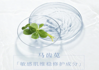 马齿苋是敏感肌救星吗 马齿苋有什么功效作用