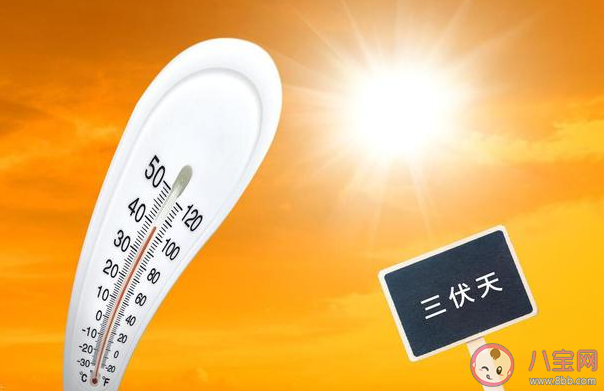 明起正式入伏5省份局地达40℃以上 入伏注意事项有哪些