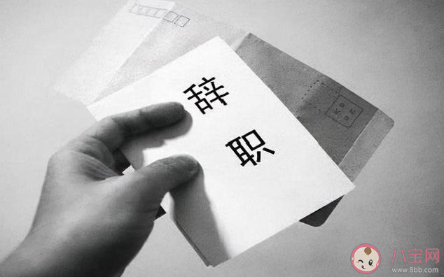 七月辞职狼多肉少吗 七月为什么不能辞职