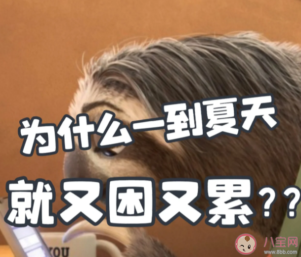 为什么天热容易犯困 夏天犯困怎么提升