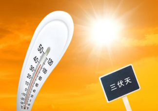 明起正式入伏5省份局地达40℃以上 入伏注意事项有哪些