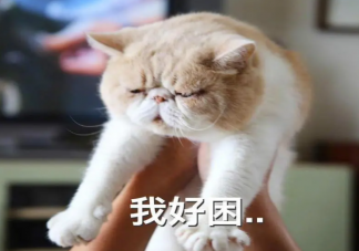 困得时候喝点冰的能提神吗 下午很困该怎么办