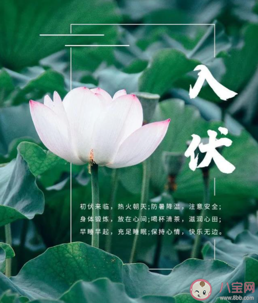 2023今日入伏图片带字祝福语说说 入伏祝福语短句唯美文案句子