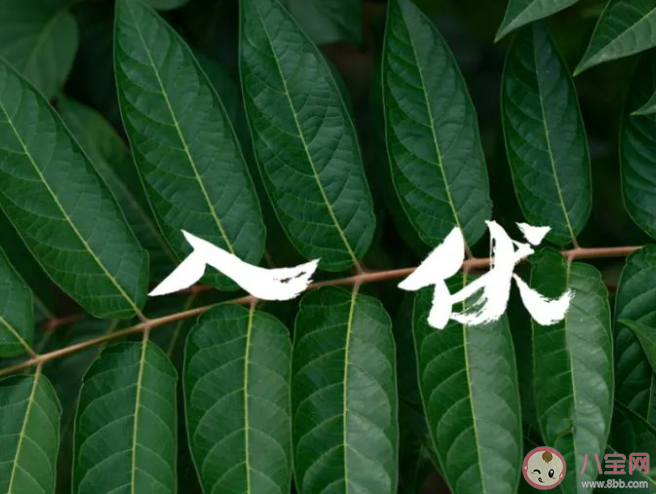 2023今日入伏图片带字祝福语说说 入伏祝福语短句唯美文案句子