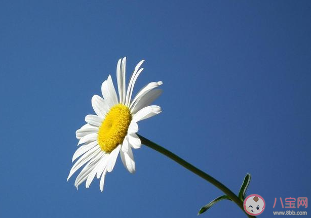 刚过去的6月是有记录以来最热的6月 为什么今年6月这么热