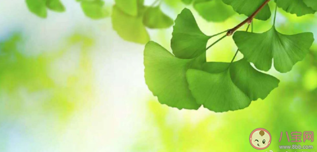 三伏天晒背最佳时间表 三伏天该怎样晒背 三伏天晒背最佳时间表 三伏天该怎样晒背