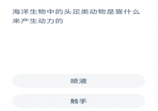 海洋生物中的头足类动物是靠什么来产生动力的 蚂蚁森林神奇海洋7月11日答案