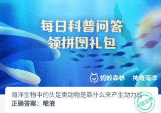 海洋生物中的头足类动物是靠什么来产生动力的 神奇海洋7月11日答案介绍