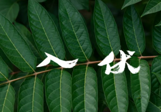 2023今日入伏图片带字祝福语说说 入伏祝福语短句唯美文案句子