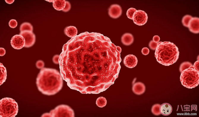 血浆置换能抗衰老永葆年轻吗 换血抗老有什么风险