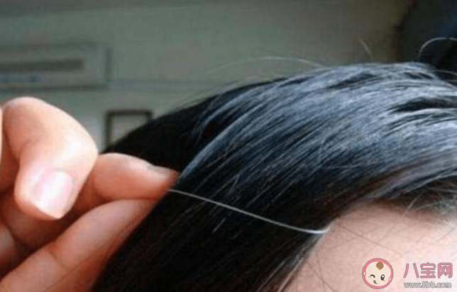 拔白头发长出来是黑发还是白发 白发早生是什么原因