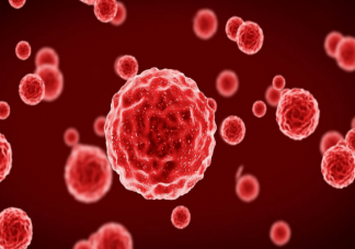 血浆置换能抗衰老永葆年轻吗 换血抗老有什么风险