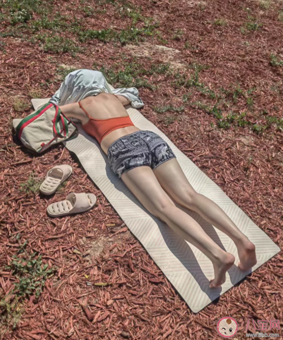 三伏天晒背养生有用吗 晒背注意事项 三伏天晒背养生有用吗 晒背注意事项