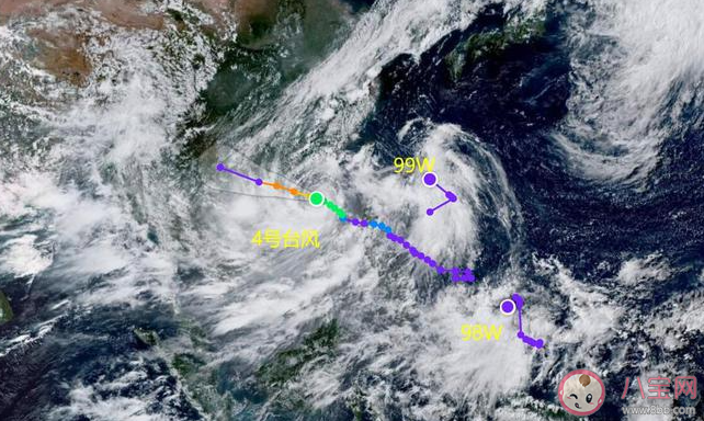 台风泰利预计今夜登陆我国 台风泰利会带来哪些影响