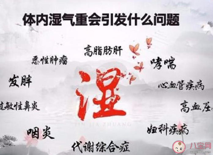 湿气和汗水的区别是什么 湿气重该怎么排出 湿气和汗水的区别是什么 湿气重该怎么排出