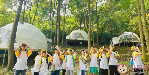 花费高价研学旅行有必要吗 如何避免研学变踩坑