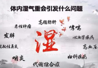 湿气和汗水的区别是什么 湿气重该怎么排出