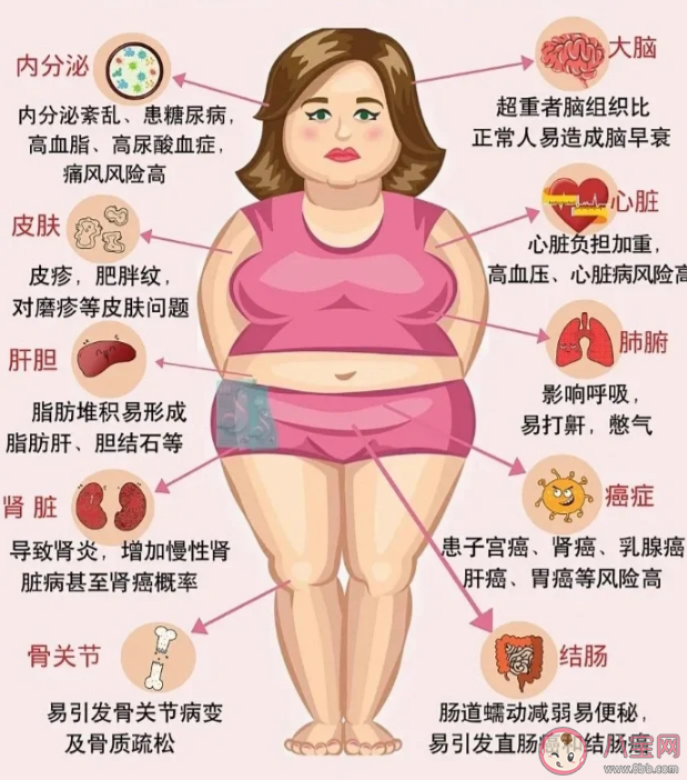 肥胖会引起心理问题吗 肥胖容易引起什么心理疾病