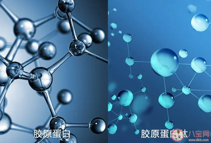 胶原蛋白口服外用哪个更有效 胶原蛋白有什么作用