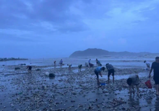 台风送来大量生蚝海鲜市民拎麻袋装 生蚝吃了有什么好处