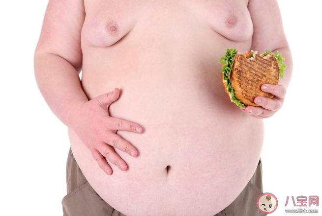 做到这4点甩掉脂肪 脂肪有好坏之分吗