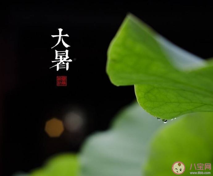 2023大暑节气早安带图片说说大全 适合大暑节气发的朋友圈文案句子