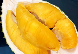 水果之王榴莲与我国历史上的哪位航海家有关 蚂蚁庄园7月25日答案