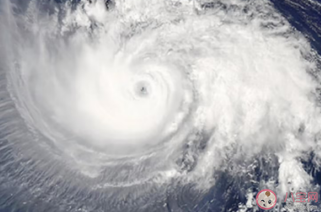 杜苏芮或成今年登陆我国最强台风 遇到台风天气如何注意