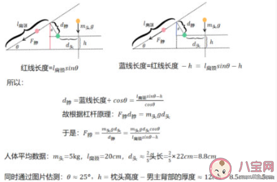 这样睡相当于脖子吊16瓶矿泉水 正确的睡姿是怎样的 这样睡相当于脖子吊16瓶矿泉水 正确的睡姿是怎样的
