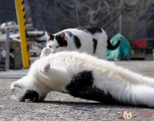 这样睡相当于脖子吊16瓶矿泉水 正确的睡姿是怎样的 这样睡相当于脖子吊16瓶矿泉水 正确的睡姿是怎样的