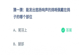 能发出悠扬响声的鸽哨佩戴在鸽子的哪个部位 蚂蚁庄园7月26日答案