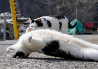 这样睡相当于脖子吊16瓶矿泉水 正确的睡姿是怎样的