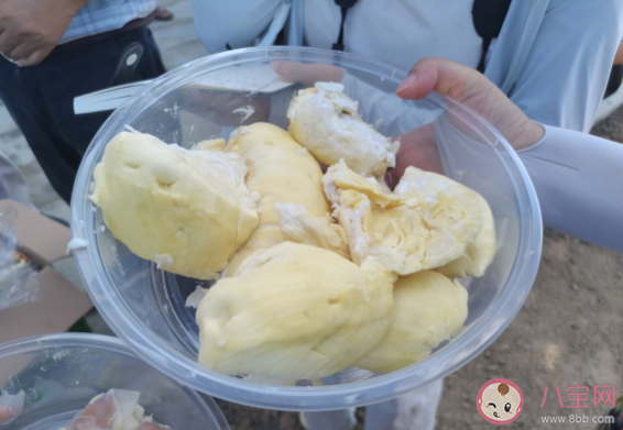 国产榴莲上市预计产量多少 国产榴莲口感怎么样