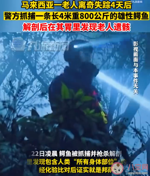 老人失踪4天在鳄鱼胃中发现遗骸 鳄鱼会吃人吗