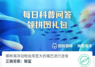哪种海洋动物会用宽大的嘴巴进行滤食 神奇海洋7月26日答案