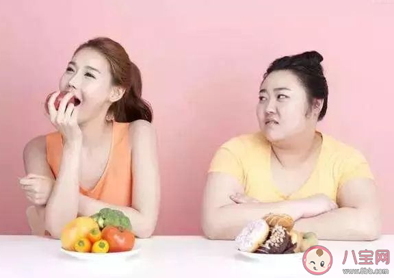 易瘦体质的人内脏功能更好吗 怎样成为易瘦体质的人 易瘦体质的人内脏功能更好吗 怎样成为易瘦体质的人