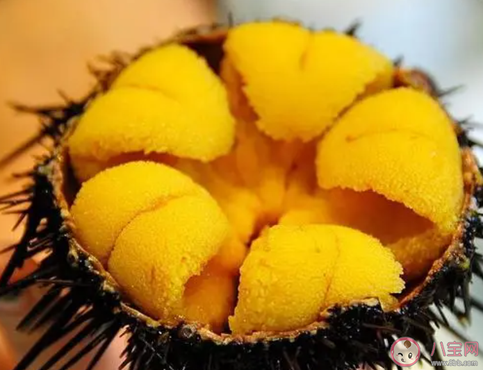 以下哪种动物拥有一口锋利的牙齿 神奇海洋7月31日问题答案