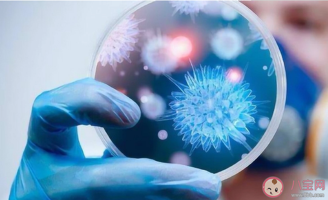 有这8个好习惯的人不容易得癌 未来癌症人数会大幅增加吗 有这8个好习惯的人不容易得癌 未来癌症人数会大幅增加吗