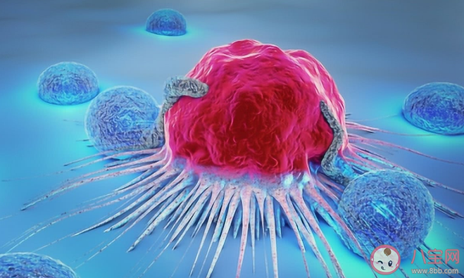 有这8个好习惯的人不容易得癌 未来癌症人数会大幅增加吗 有这8个好习惯的人不容易得癌 未来癌症人数会大幅增加吗