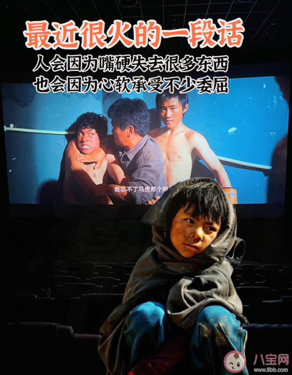 《八角笼中》票房为什么这么高 《八角笼中》票房预测多少