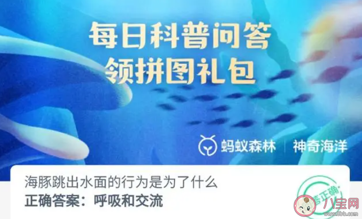 海豚跳出水面的行为是为了什么 神奇海洋8月7日答案