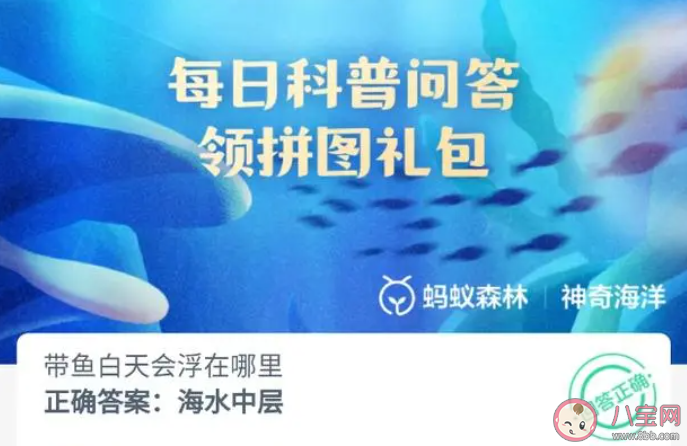 带鱼白天会浮在哪里 神奇海洋8月8日答案2023