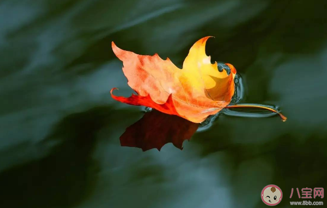 立秋后如何睡好觉 立秋后起居上要注意什么 立秋后如何睡好觉 立秋后起居上要注意什么