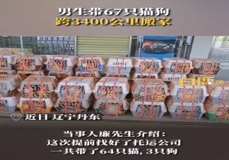 男生带67只猫狗跨3400公里搬家 为什么宠物会被遗弃