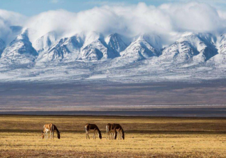 私闯禁区到底有多危险 盲目探险不可取