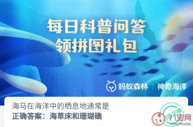 海马在海洋中的栖息地通常是什么 神奇海洋8月12日答案