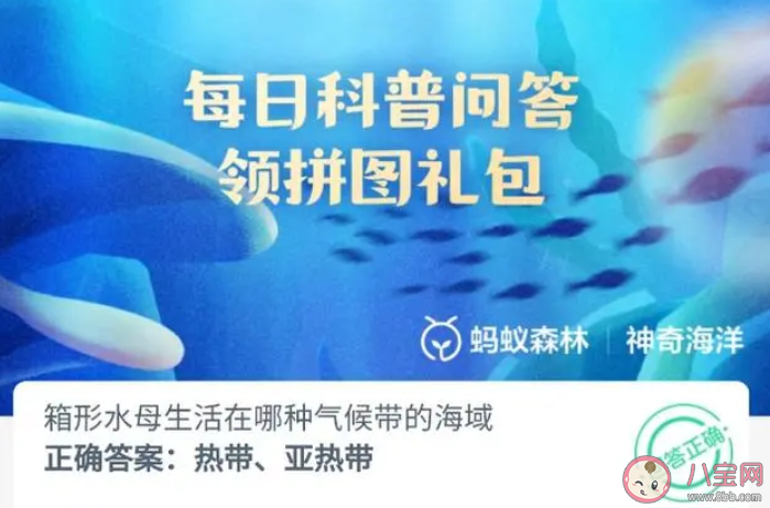 箱形水母生活在哪种气候带的海域 神奇海洋8月15日答案