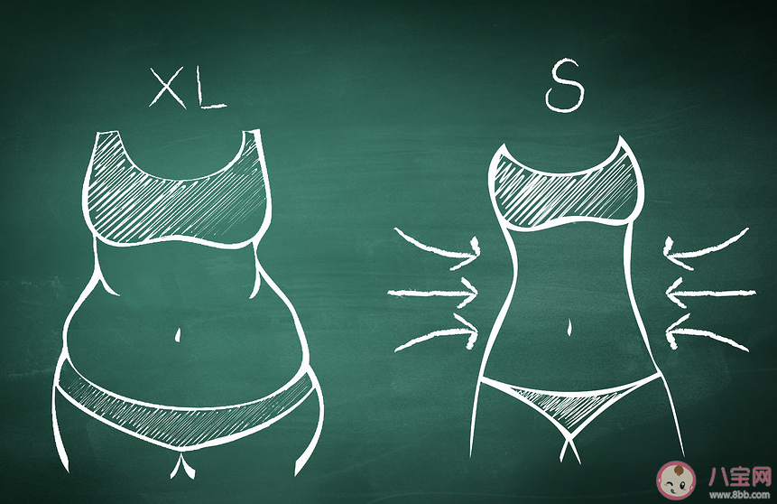 节食和运动哪个减肥效果更明显 要不要节食减肥 节食和运动哪个减肥效果更明显 要不要节食减肥