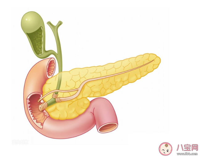 胆囊结石发病率越来越高吗 如何预防胆囊结石 胆囊结石发病率越来越高吗 如何预防胆囊结石