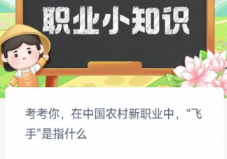 在中国农村新职业中飞手是指什么 蚂蚁新村8月21日答案